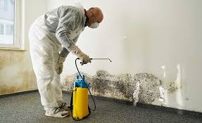 Brookfield, MO Mold Prevention & Removal  Company