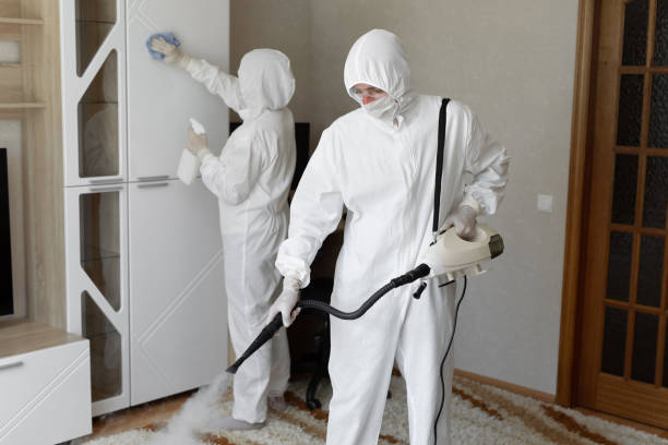 Mold Prevention & Removal