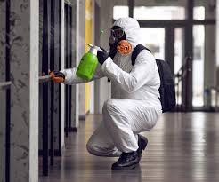 Why You Should Choose Our Mold Remediation Services in Brookfield, MO